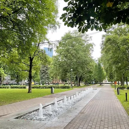 Daire Spacious In Center *